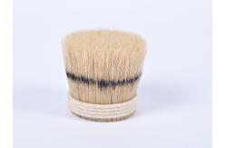 China Dyed Bristles supplier
