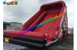 China Customized Two lane Inflatable Dry Slide With PVC for exhibition , celebration supplier