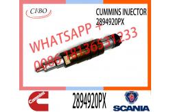 China Hot-selling new Diesel common rail Fuel Injector 2894920PX 2894920 supplier