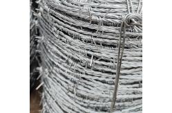 China School Enclosure Special Barbed Wire Mesh Cheap Price Security Barbed Wire supplier