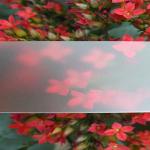 Custom White Milk Mall Sun Polycarbonate Frosted Sheet , PC Embossed Sheets for sale