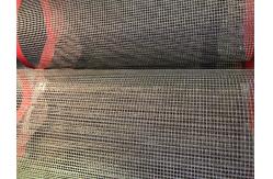 China 10x10mm 4*4mm FDA Passed Ptfe Mesh Conveyor Belt supplier
