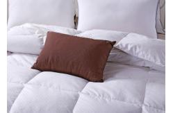 China 50% 150x210cm Duck And Down Quilt supplier