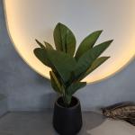 Long Lasting Plastic Material Artificial Plants 70cm Artificial Dieffenbachia Tree