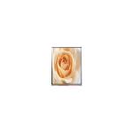C050SWAF-0 5.0 inch 720*1280 LCD Screen Panel for sale