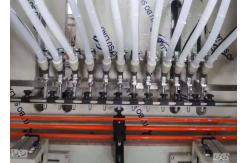 China PP 2l Corrosive Liquid Filling Machine supplier