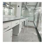 Customizable Lab Wall-Mounted Bench With Length*W750*H850mm And Ceramic Table Top