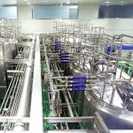 Automatic Fruit Juice Processing Line For Date Juice Making 380V