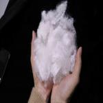 Virgin Hollow Conjugated Fiber 20D Hollow Hard Cotton Flame Retardant PSF for sale