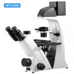 OPTO-EDU A14.2605 Inverted Biological Phase Contrast Microscope, Transmit Light, ECO for sale