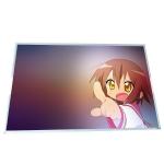 New Original M190PW01 V3 19.0 inch TFT LCD Display for sale