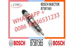 China Common Rail Diesel Fuel Injector 0445120035 0445120272 3965720 3973059 5263305 87581565 supplier
