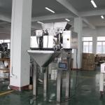 SS304 2 Head Linear Weigher