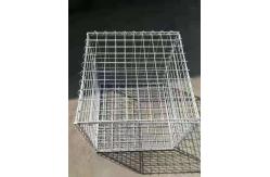 China Hot Dipped Galvanized Hexagonal Wire Mesh 2.0mm Gauge Reverse Twist supplier