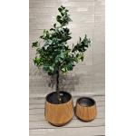 Customed Fiber Clay Planter With 7-8 Years Indoor Life Time Round Shape for sale
