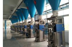 China Fully Automatic Washing Powder Manufacturing Machine With Packaging Function supplier