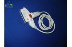 China Pediatric Cardiac Used Ultrasound Probe 8 Mhz Vivid Q System supplier