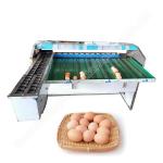 Egg Size Sort Machine Egg Sorter Machine Egg Sorter Egg Classify Machine for sale