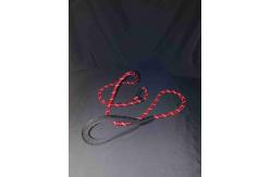 China High Visibility Reflective Pet Belt for Nighttime Walks and Runs supplier