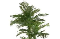China 150cm Height Artificial Potted Floor Plants Feather Palm Tree supplier