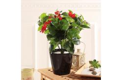 China 40cm Landing Artificial Potted Plant Garden Ornament Evergreen Bleeding Heart Bush supplier