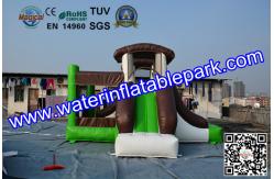 China Indoor and Outdoor Inflatable Bouncy Castle with Slide supplier