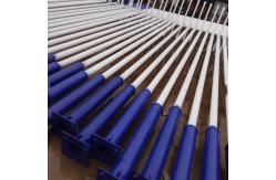 China ODM Garden Light Poles Height 4m 5m 6m 7m 8m 9m 10m 12m supplier