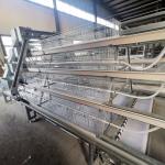 3 Tiers Battery Layer Chicken Cage Automatic Drinking For Laying Hens Farm for sale