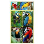 Rectangle Adhesive 3D Lenticular Stickers For Children's Book PET/PP Printing
