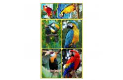 China Rectangle Adhesive 3D Lenticular Stickers For Children's Book PET/PP Printing supplier