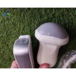 Samsung EVN4-8 Ultrasound Probe Repair Transducer Lens Replacement
