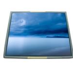 NL128102BM29-05 TFT LCD panel display for Medical Imaging for sale