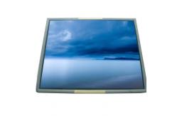 China NL128102BM29-05 TFT LCD panel display for Medical Imaging supplier