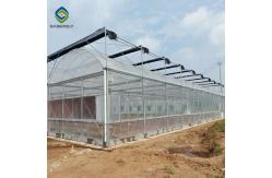 China 33ft Multi Span PE Plastic Shed Film Greenhouses supplier