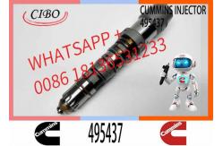 China Diesel Engine Part Excavator Fuel Injector 432678 495437 4077076 4902817 supplier