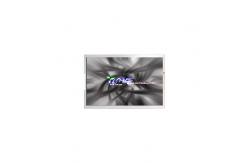 China TL055VYXC01 5.5 inch LCD screen TFT LCD Display For Mobile Phone supplier