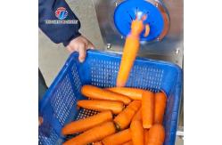 China 110KG Carrot peeler central kitchen distribution processing high yield radish peeler supplier