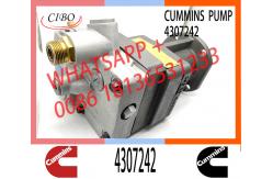 China QSK23 Diesel engine parts fuel injection pump 4087997 4009881 4010566 4076753 4307242 4087997 supplier