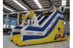 China High Slide Mini Inflatable Pool Slide , Waterproof Funny Commercial Slip And Slide supplier