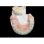 China Natural Looking Lava Zirconia Crown With Unrivaled Durability Excellent Biocompatibility manufacturer