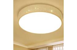China Round Simple Ceiling Lights Dimming Ceiling LED Lamps for Hotel supplier