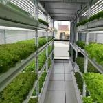 Multi-Span Agricultural Greenhouses 40ft Container Hydroponic Vertical Farming System for sale