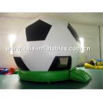 Toy story jumping castle,bouncy castle for hire,inflatable combo for sale