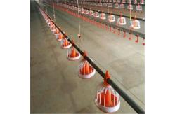 China 1g-99g Automatic Pan Feeder Automatic Poultry Feeder System For Farming supplier