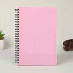 Custom 80 Sheets Coil Personalized Spiral Notebook School Student For Promotion for sale