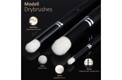 China Precision Model Paintbrush Detailing Making Painting Brush Set for Scale Models supplier