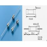 Time-Lag Glass Fuse 