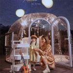 ISO See Through Bubble Tent Security Assurance Camping Bubble Dome for sale