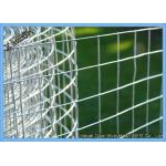 Industrial Aviary 1  Electro / Hot Dipped Galvanized Welded Wire Mesh
