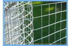 China Industrial Aviary 1  Electro / Hot Dipped Galvanized Welded Wire Mesh supplier